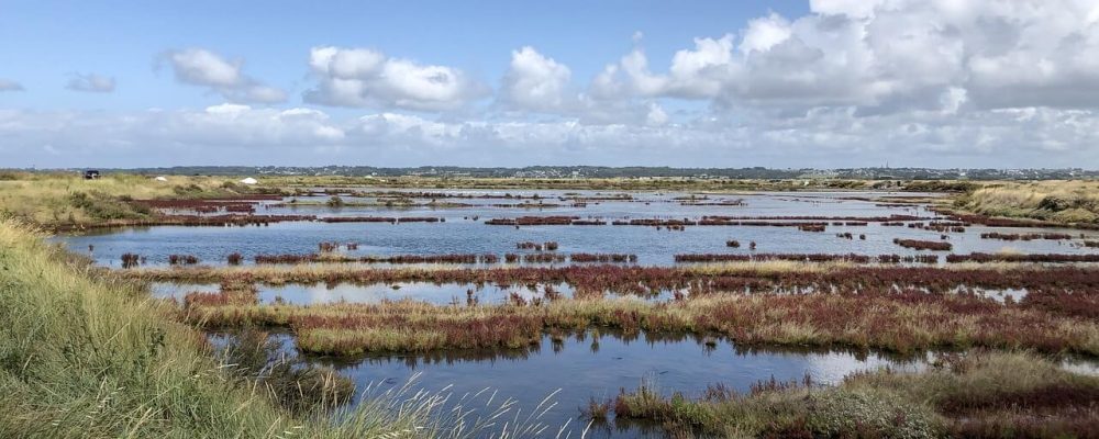 Photo des marais salants en pleine journée - Camping le Domaine de Pont-Mahé