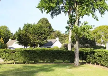 AdobeStock 148096490 11 1