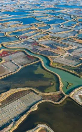 AdobeStock 44360673 1 1