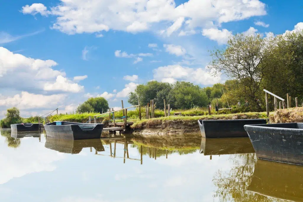 header saint lyphard