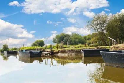 header saint lyphard